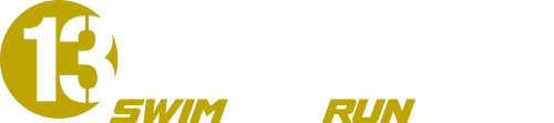 Logo Dutch Bike fit - Wit